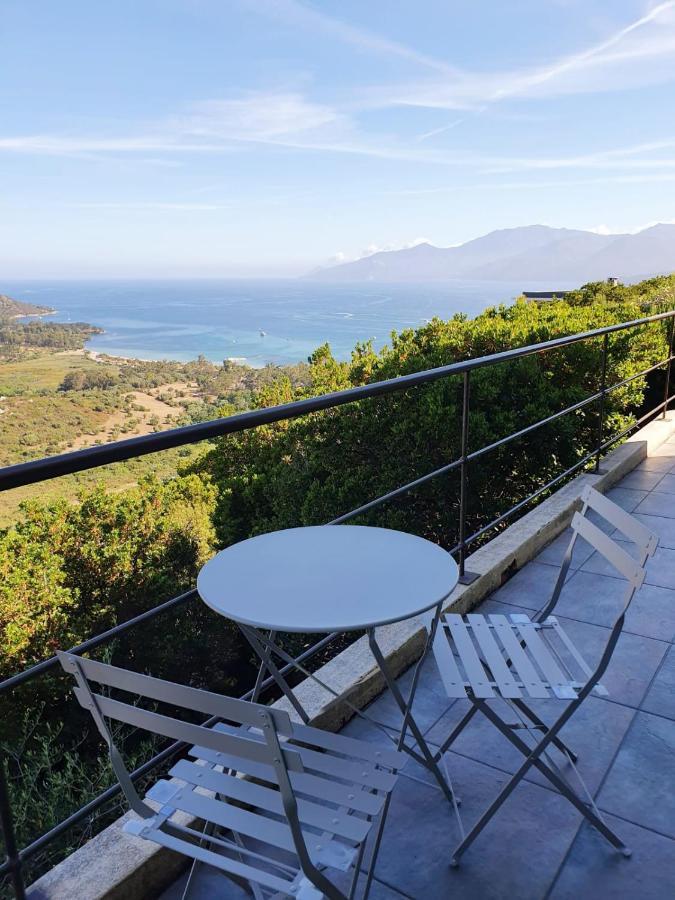 les hauts de fromentica Saint-Florent  Extérieur photo